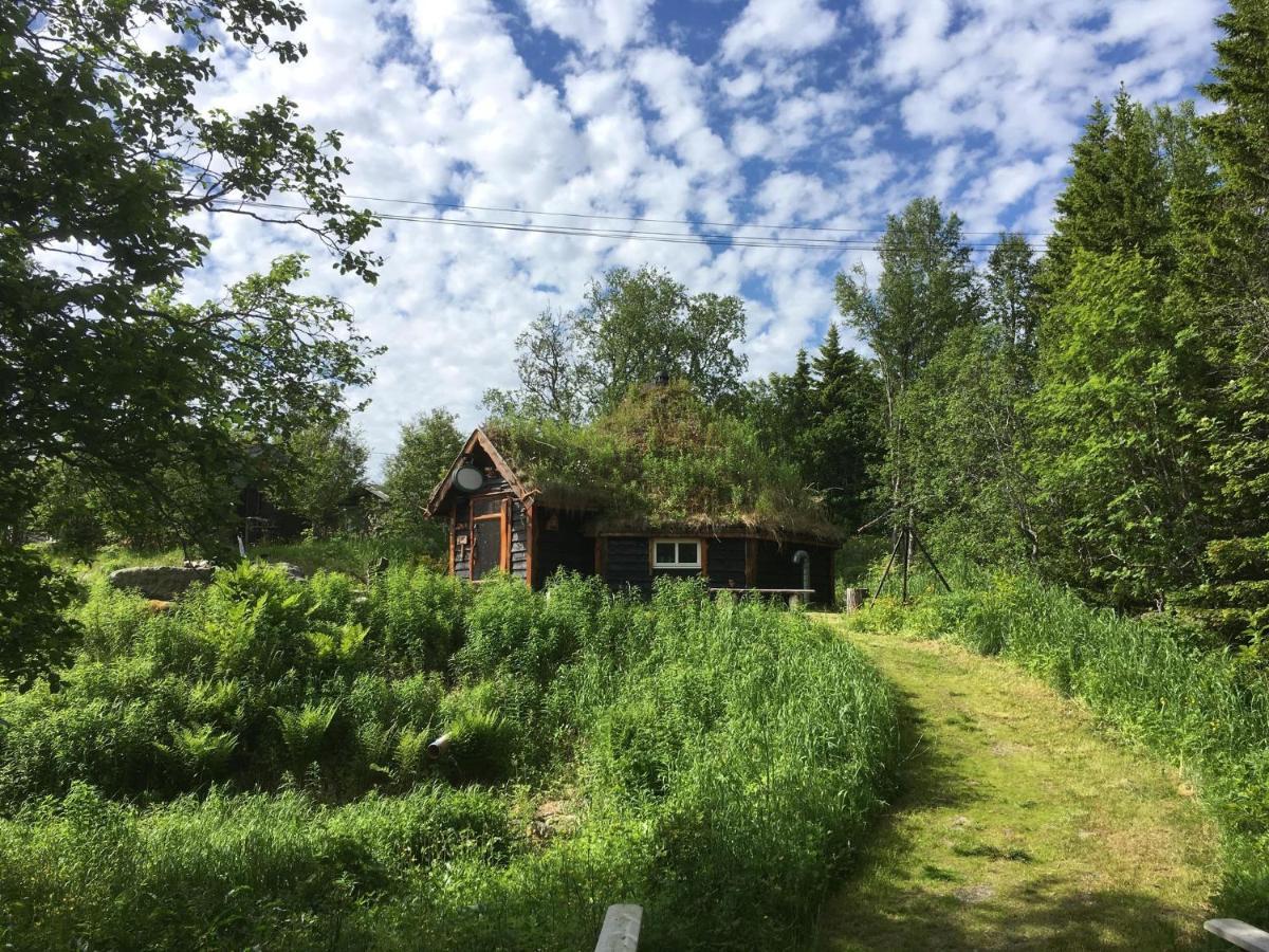 הוילה 100 Years Old Norwegian Log House In טרומסה מראה חיצוני תמונה