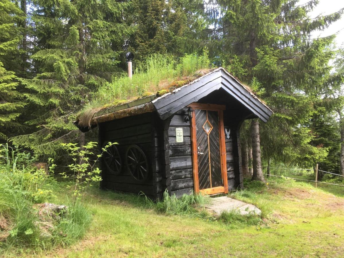 הוילה 100 Years Old Norwegian Log House In טרומסה מראה חיצוני תמונה