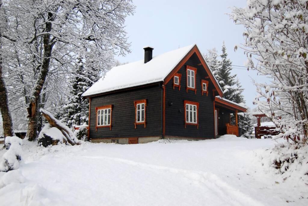 הוילה 100 Years Old Norwegian Log House In טרומסה מראה חיצוני תמונה