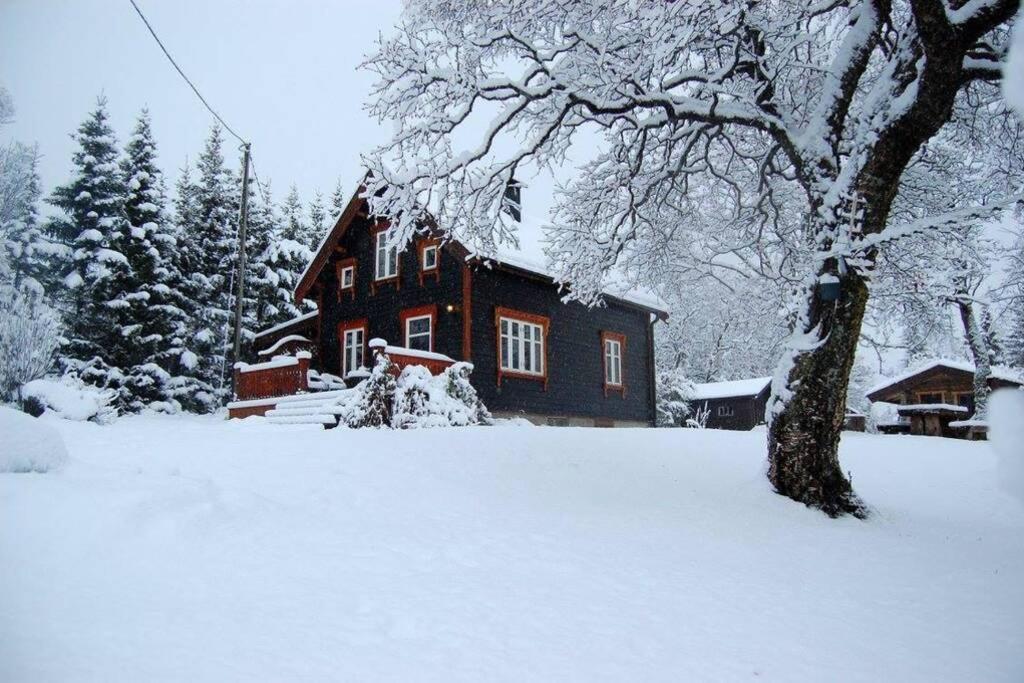 הוילה 100 Years Old Norwegian Log House In טרומסה מראה חיצוני תמונה